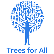 trees for all teambuilding Stoke-on-Trent